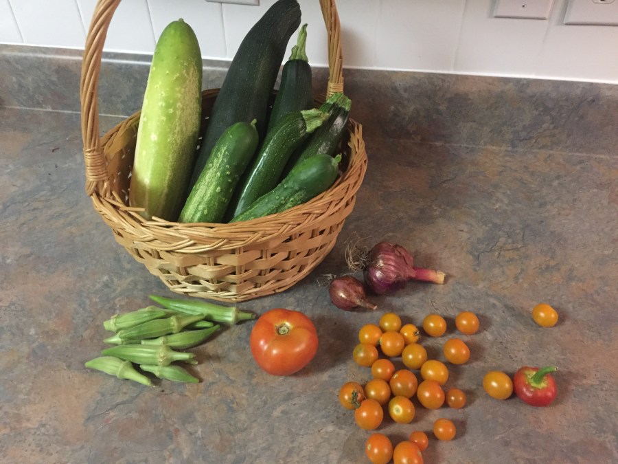 garden harvest
