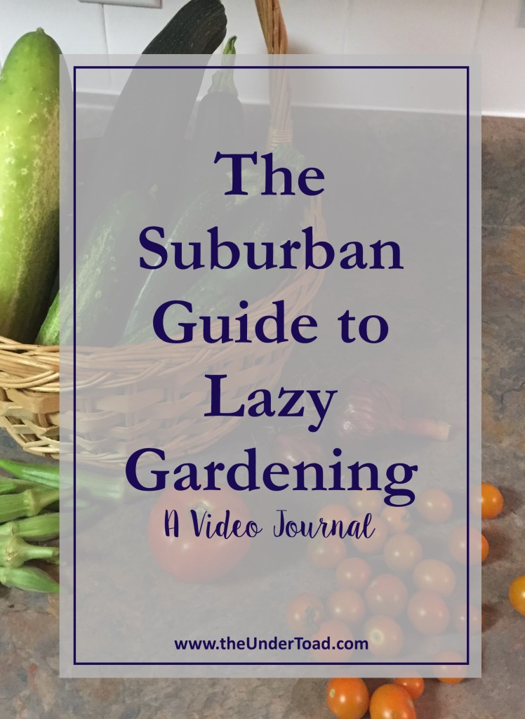Suburban Guide to Lazy Gardening: a Video Journal