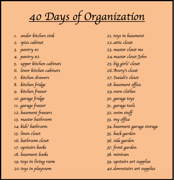 40 Days of Organization